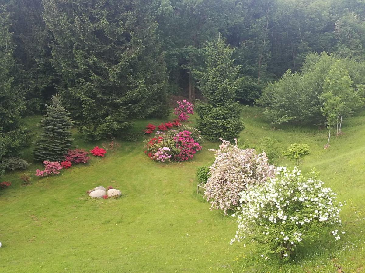 Guest house Antica Cascina Del Medico *
